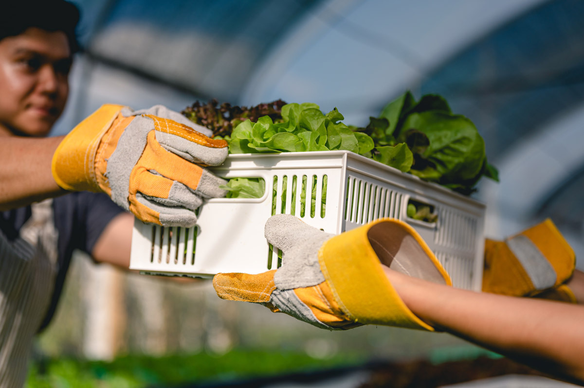 Hr topic compensation benefits